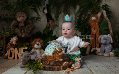 Tommy ~ jungle theme cake smash