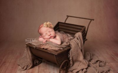 Newborn potos in Rugeley ~ Daisy